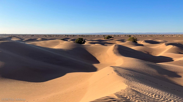 Découvrez les dunes du Sahara pendant votre trek au Maroc