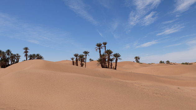 Venez découvrir le désert marocain avec un trek sur-mesure