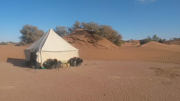 Caravane chamelière et cuisinier pour ce trek tout confort