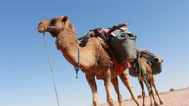 Votre séjour randonnée trekking dans les dunes du Maroc
