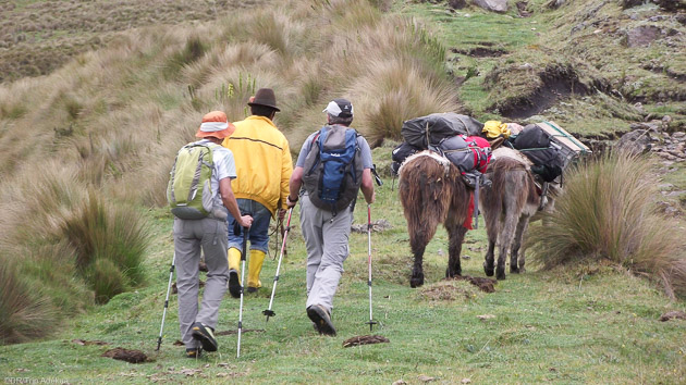 Une randonnée sur le Chemin des Incas en Equateur