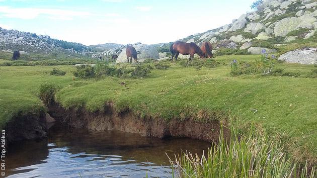 Nature sauvage dans les plateaux vallonnées traversés par votre circuit trek