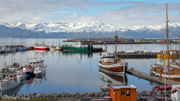 Vacances de rêve à la découverte de l'Islande