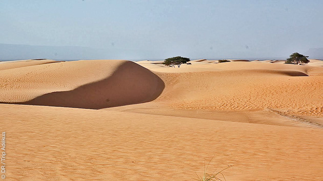 Votre séjour trekking à la découverte de l'Adrar oriental en Mauritanie