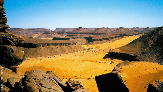 Une méharée à travers le désert de Mauritanie