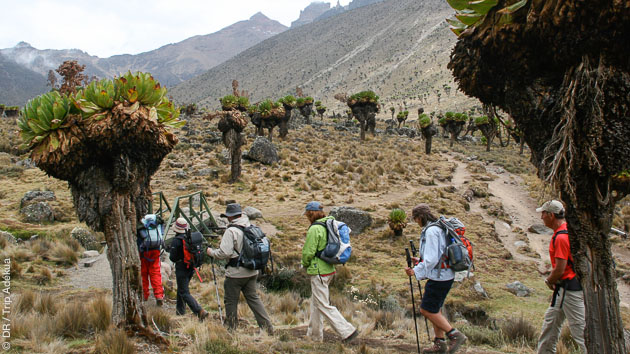 Paysages d'exception pour un trekking en Tanzanie et au Kenya, à l'assaut des montagnes