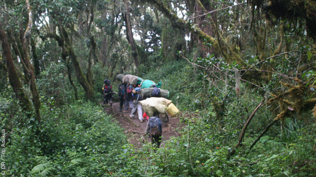 Mont Kenya et Kilimanjaro : un trek mythique sur les pentes des géants d'Afrique